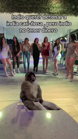 #fyp #viral #trending #tiktokchallenge #explorepage #tiktokdance #random #humor #comedia #funny #DIY #lifehacks #reto #motivación #inspiración