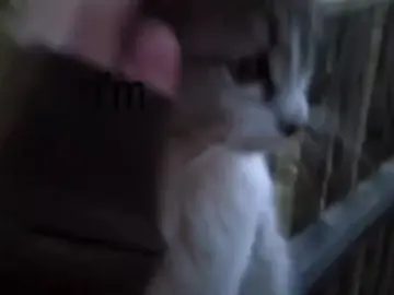 ouch hahah. #secretdoor #fypp #viral #editlyrics #lyrics #fypage #arcticmonkeys 