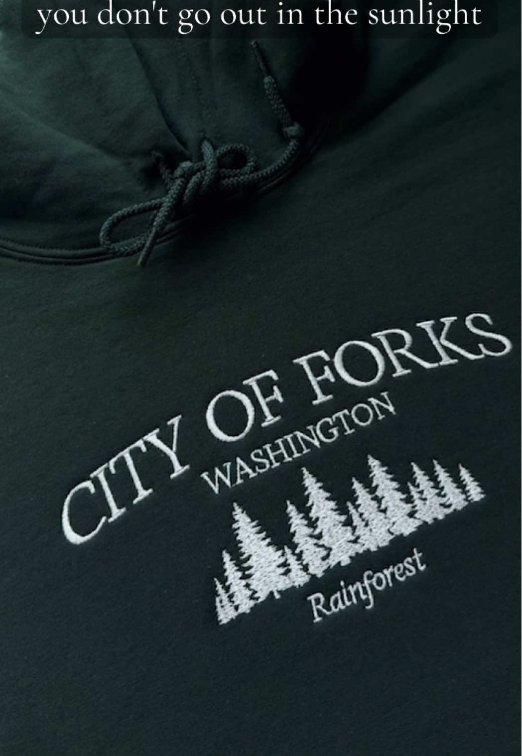 Thank you so much for your order @lex🩵 ! I hope you love it!🫶🏻✨ 🌟Available in my Tik Tok Shop & Etsy Shop! (🔗 in bio) #twilightsaga #embroidered #SmallBusiness #tiktokshop #edwardvsjacob #vampire #thecullens #cuteandcozy 