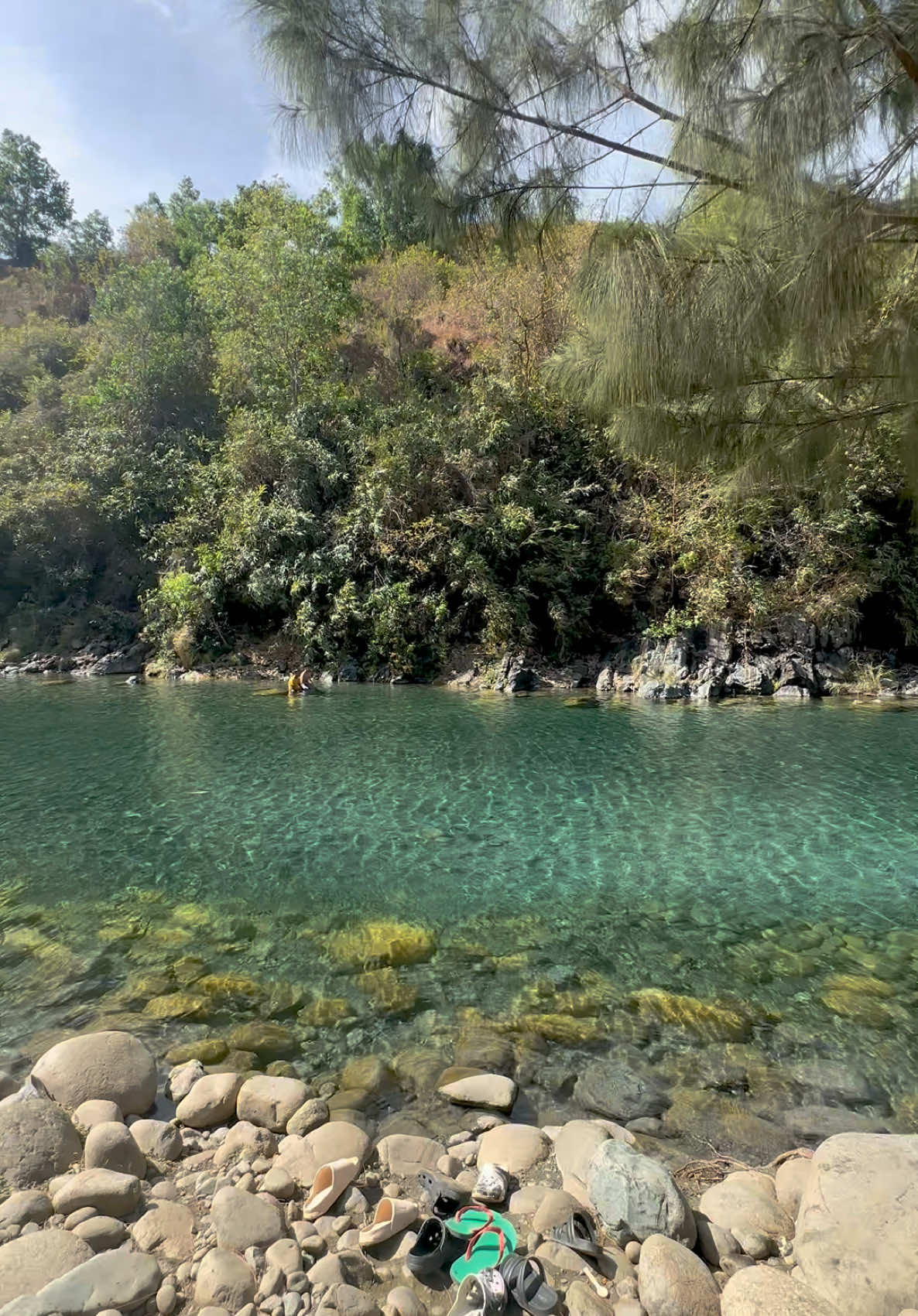 Grabe ka Lord 😍 saan aabot 170 pesos mo?! 📍Aguilar, Pangasinan #fyp #fypage #fypシ゚ Maples River