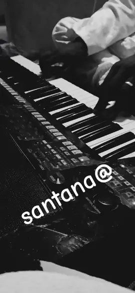 #🇩🇿🇪🇭🇱🇾🇹🇳 