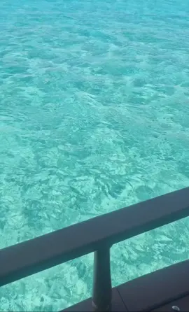 Bahamas baby 🇧🇸 
