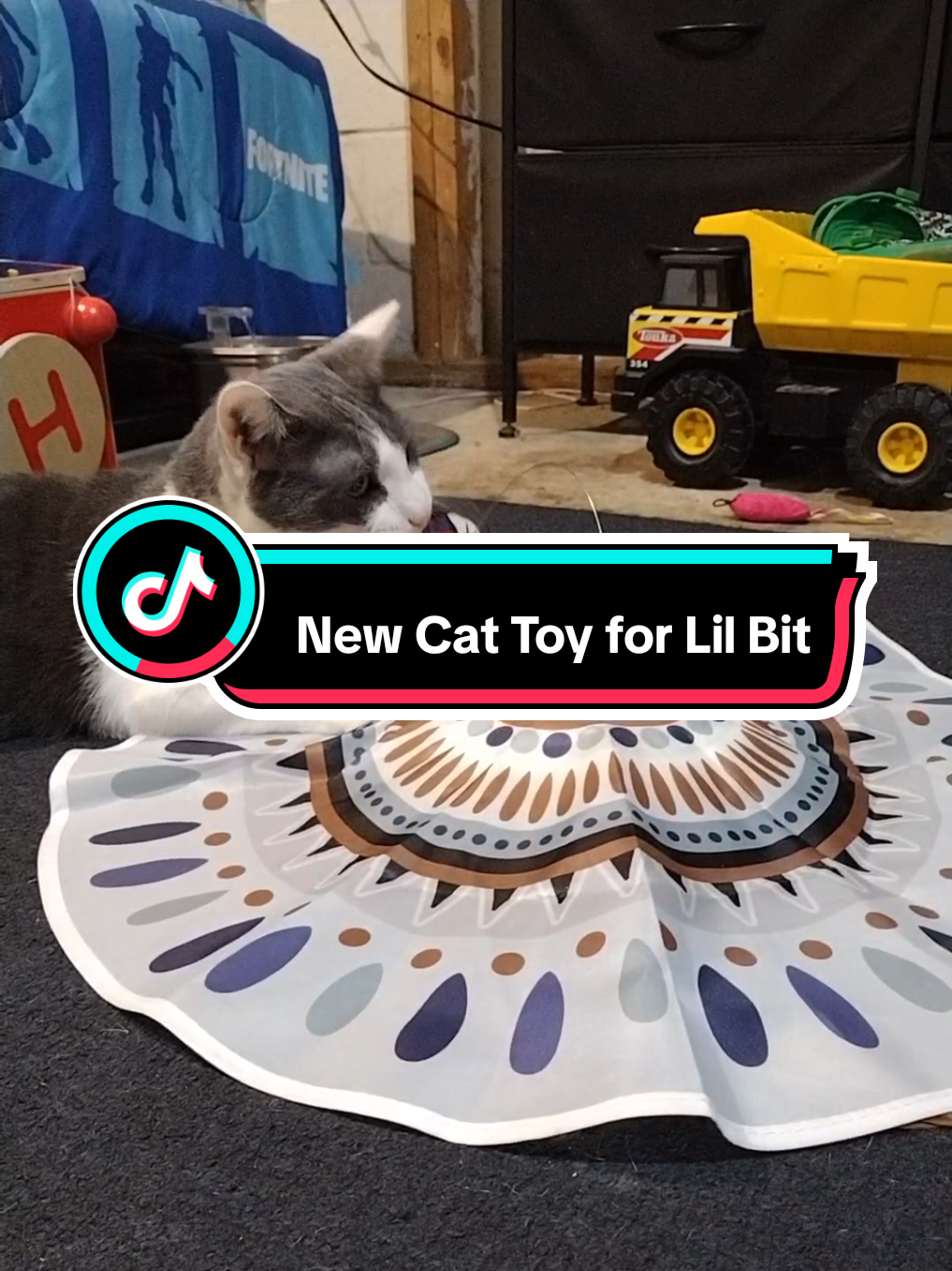 lil bit enjoys his new toy. he loves the butterfly. he kept trying to eat it. don't miss a great deal. grab yours today. click the shopping cart. #spotlightfinds #cats #catsoftiktok #cattoy #playtime #boycat 