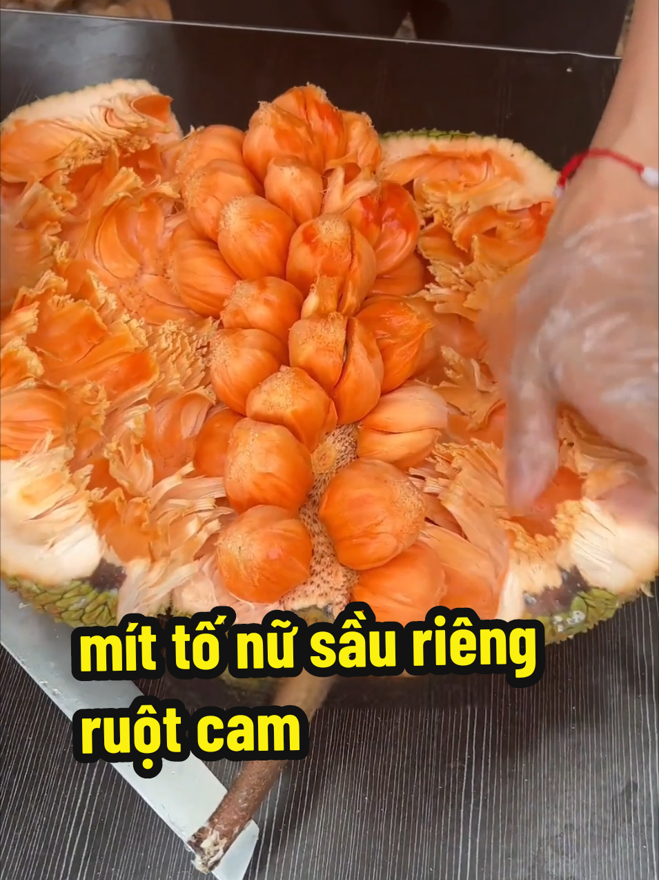 #xuhuớng #mít  Chín chưa Linh ? 😆 #tuệmẫn #vườn 