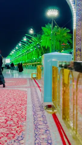 #كربلاءالمقدسه 