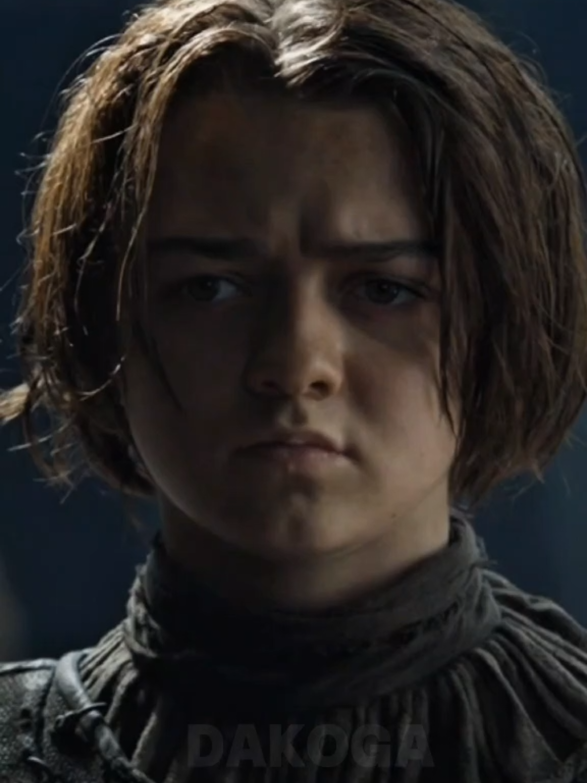Arya Stark se despide de su amigo. #juegodetronos #LaCasaDelDragon #gamesofthrones #hieloyfuego #aryastark #dakoga 