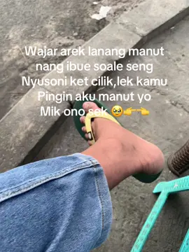 Mik sek pokok eee🥲