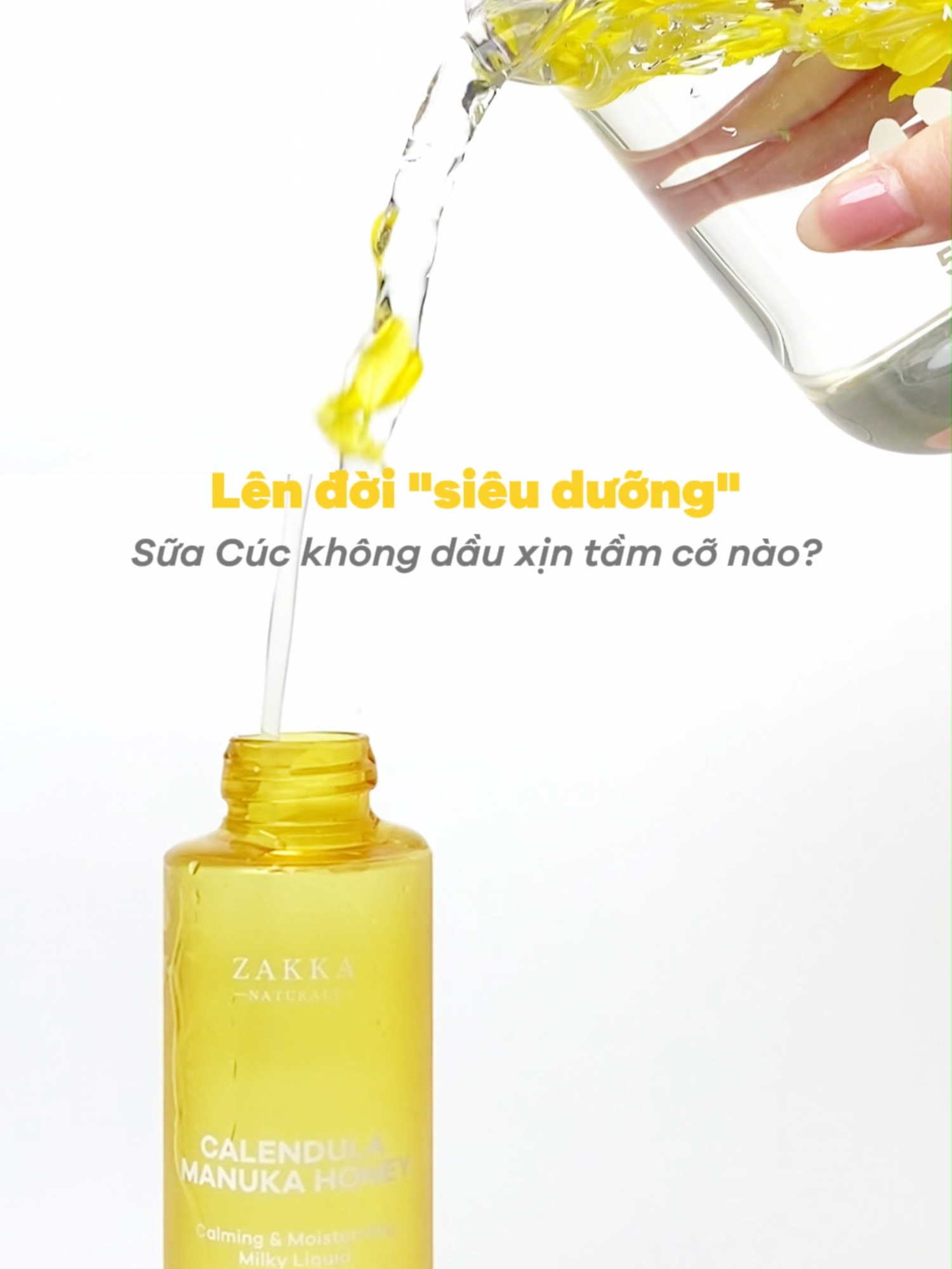 Sữa dưỡng hoa Cúc không dầu sau nâng cấp trở thành bước dưỡng 