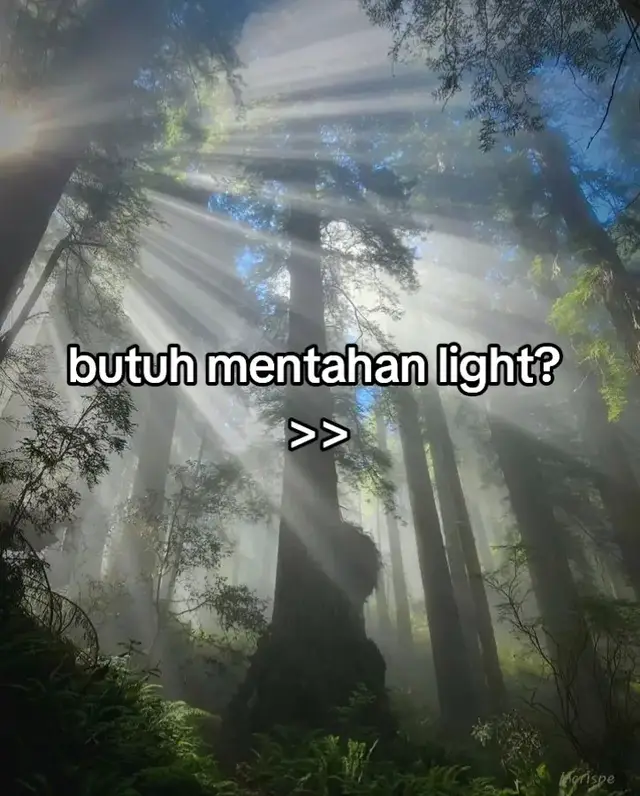 next mentahan apa lagi 🦋 gtw mau pos apa kek nya bakal mentahan deh #mentahanlight #foryou #greenscreen #cahaya #senja #funny #bacgrund #tiktok #Love 