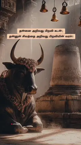 சித்தம் எல்லாம் எனக்கு சிவமயமே...🌙 இறைவா...😌 சித்தம் எல்லாம் எனக்கு சிவமயமே...🔱 உன்னை சேவித்த கரங்களுக்கு இல்லை பயமே🙏🏼😌 சித்தம் எல்லாம் எனக்கு சிவமயமே...🪔 🌙 சிவாய நம ஓம் 🔱 #sprituality #omnamahshivay  #shivansong #tamil #shivanstatustamil  #trustgod #trusttheprocess #trustgodsplan  #foryoupage #foryou #fyp   