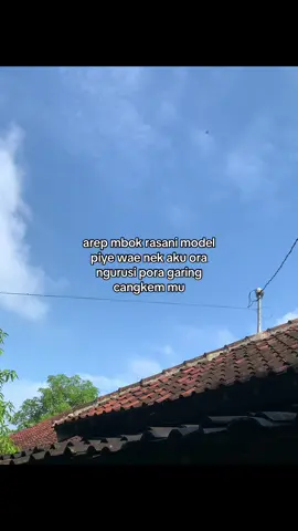 wong aku yo ra ngurus