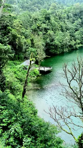 #4u #fyp #nttpride🏝🔥 #ranamesemanggaraitimur 