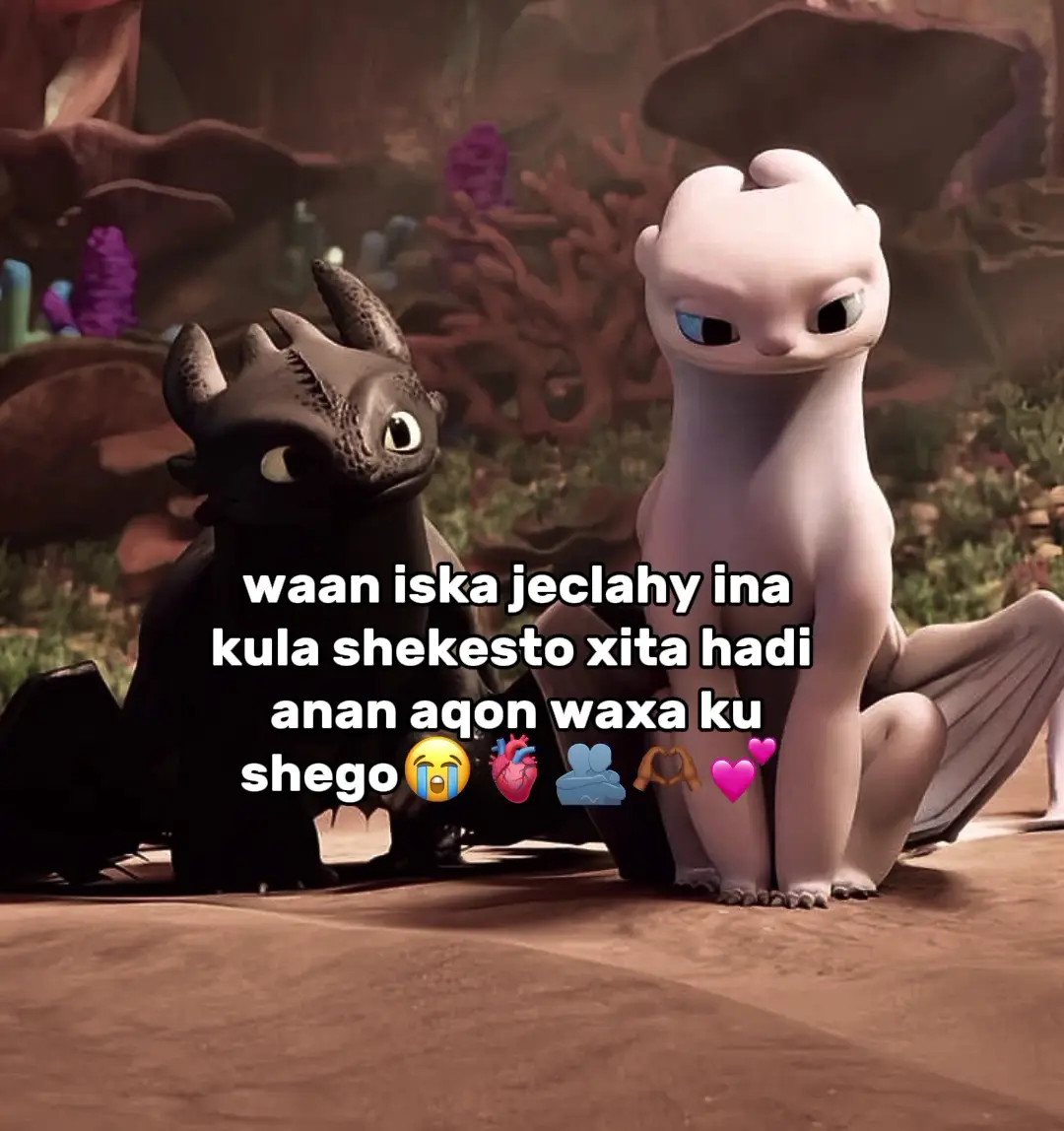 faq dhaq😂👍🏽💕