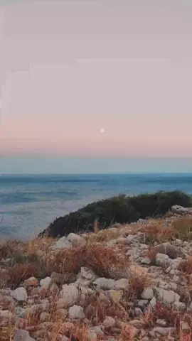 #quran #quran_alkarim #قرآن_كريم #قرآن #القرآن_الكريم #القرآن #القران #القران_الكريم