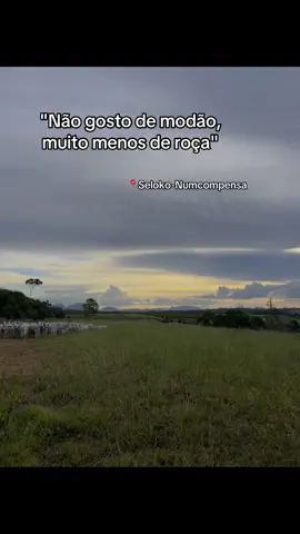📍Numcompensa uai  #fouryou #fyp #agro #tiktokviral #fortoupage #🐴 #viraliza #fy #viral_video #agropecuaria #roça #numcompensa 