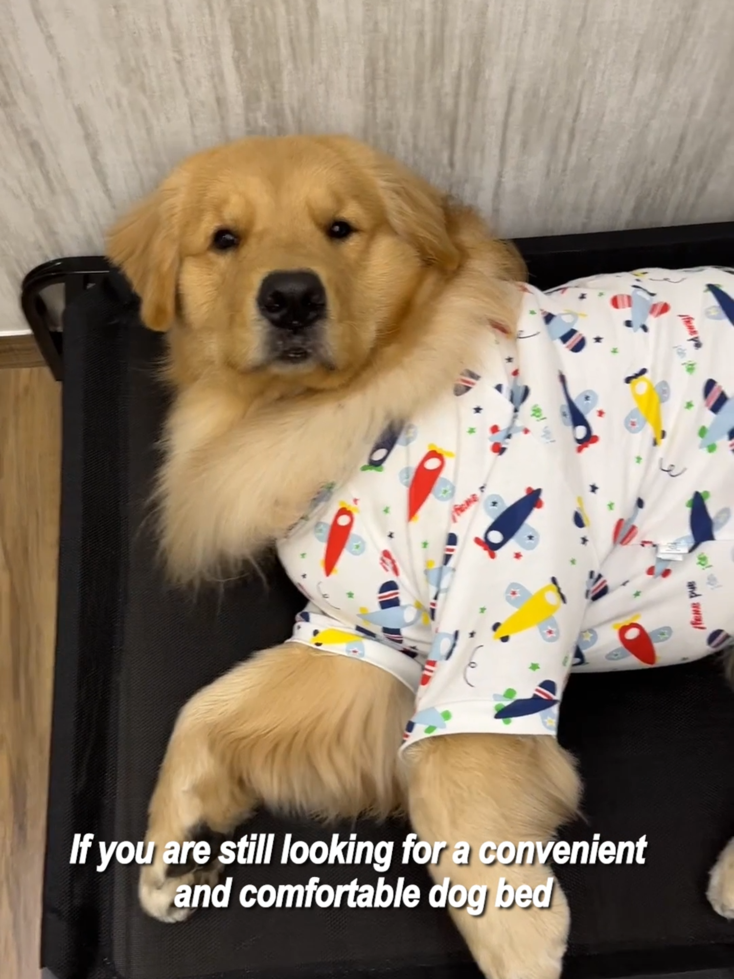 Your golden retriever baby needs this! #dogbed #GoldenRetriever #puppy #coolingdogbed #puppytiktok #fyp #dogtoy #PetsOfTikTok