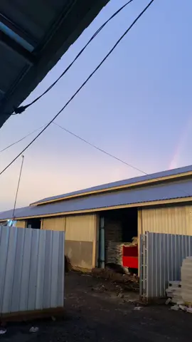 Sunser x pelangi x somebody’s pleasure😍#sunset #pelangi #somebodypleasure #song 