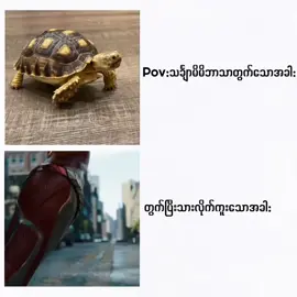 #Fr  #fyp #viralvideo #virtal 