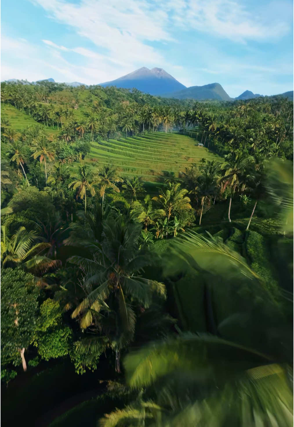 Salah satu spot favoritku kalau lagi bawa drone — sawah terasering di Desa Sapit, Lombok Timur. Hijau, tenang, dan selalu bikin betah lihat dari atas. Lombok emang nggak pernah gagal sih. Drone: @Axisflying manta 5 pro with @HQProps props and ThunderX 6s Lipo battery #LombokTimur #DesaSapit #TeraseringLombok #DroneViewIndonesia #WisataLombok #DroneFootage #FPVDroneIndonesia #CinematicDrone #ExploreLombok #AlamLombok #RiceTerraceIndonesia #DroneCinematic #hiddengemindonesia