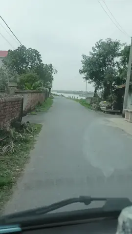 🐕 cái không vẫy đuôi không bao giờ chó đực đến 