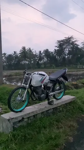 #herexjatim #lumajang 