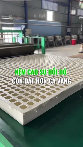 Ngày xưa mua nệm cao su đúng là đại gia luôn phải ko anh chị 😄 #nemvietnhat #nemcaosu #nemcaosuthiennhien 