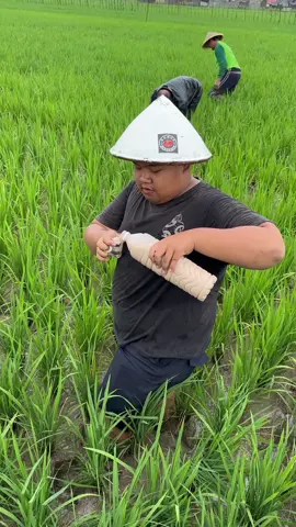 #xybca #bekonang24jam #solo24jam #fyppppppppppppppppppppppp #fypage #fypage #homcebekonang #nyorey