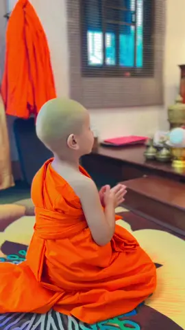 🌻: ล้วนเป็นจังหวะชีวิต ที่บังเอิญไม่ได้ตั้งใจ. #บวชเณร #เณรน้อย #บวชให้ลุง #เด็กน่ารัก #fyp #ฝนแปด☔️แดดสี่🌞 #บวชพระ #บวชพระใหม่ 