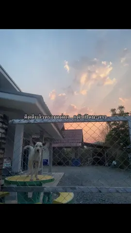 เรื่องจบคนไม่จบ🙄#แมสเถอะเพี้ยงๆ #ฟีดดดシ #ดราม่าหาพ่ #คลังของฟาร์มมี่ #เก็บไว้ดูตอนแก่ #เธรด 