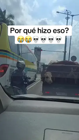 Dejó que sus pensamientos intrusivos ganasen 