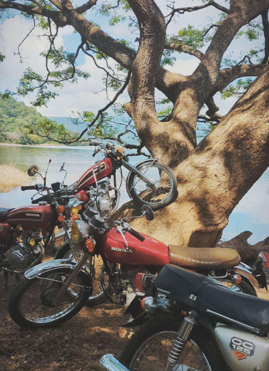80's 💎 Old is Gold ✨️ #vintage #vintagevibes #honda #cg125 #fy #fypage #fyp #foryou #viral 