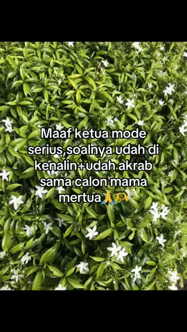 #fyppppppppppppppppppppppp 