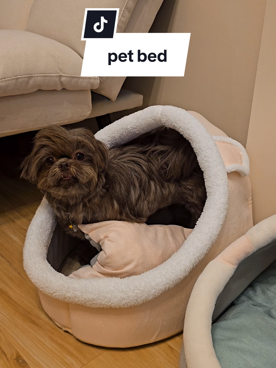 naenjoy kasi nila tong cutie pet bed higaan e 🥹 #petbed #bedfordogs #dogbed #catbed #bedforcats #bedforpets 