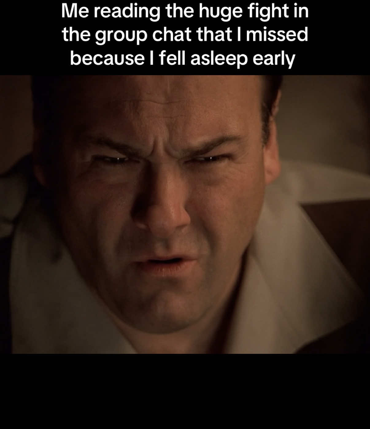 #meme #thesopranos #tonysoprano #tvshow #based 