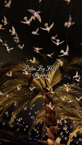 Looking for a luxury dining experience? 🌙✨ @The Palm Lounge by H20 in Coventry, was absolutely beautiful—from the stunning interior to the incredible food! We ordered: 🥩 Palm Mixed Grill – packed with juicy, perfectly seasoned meats, especially the flavoursome chops! 🍗 Parmesan Chicken with H20 Chips – so creamy and delicious! The chips were my fav! 🧀 Mac & Cheese – creamy, cheesy perfection, making the perfect side! Their Ramadan menu makes it an amazing spot for a special iftar too! Would you try this? 👀  #RamadanEats #LuxuryIftar #FoodieFinds #HalalFood #FoodBlogger #Halal #Fyp 