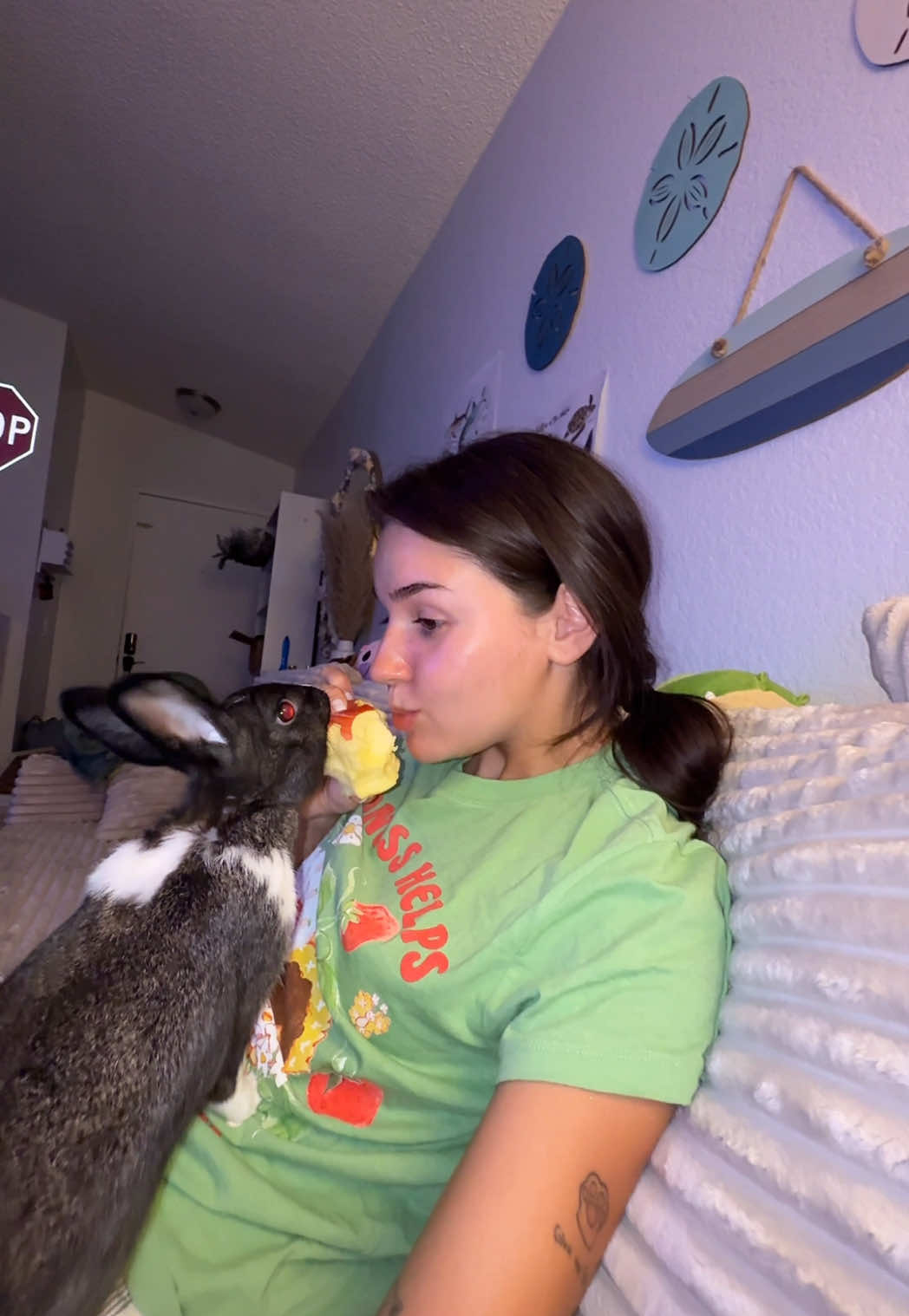 Moments like this>>> #fyp #animal #bunny #pet #PetsOfTikTok 