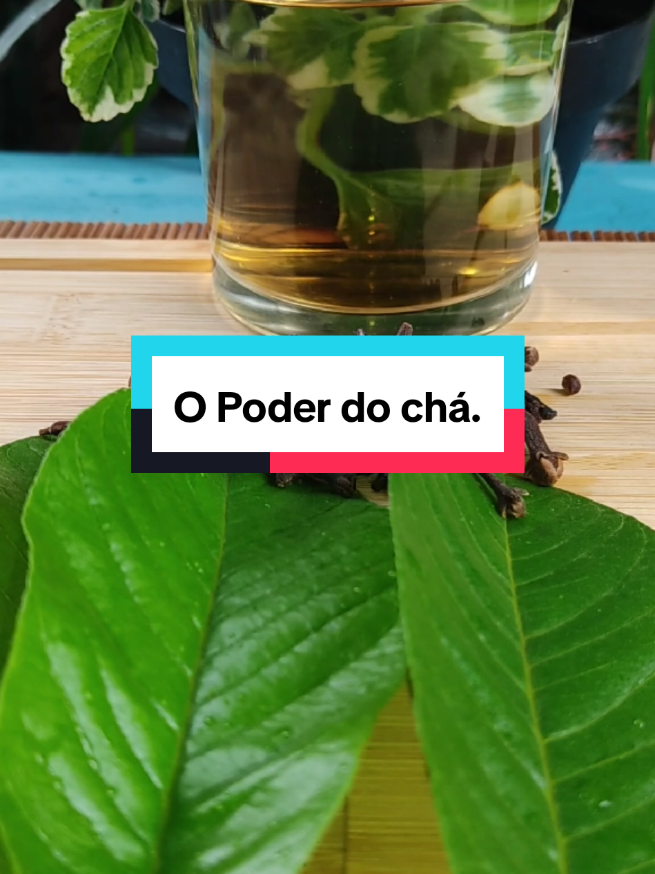 Benefícios Do Chá de Folhas de Goiaba com Cravo. #receita #remedioscaseros #beneficios #saúde #dica 