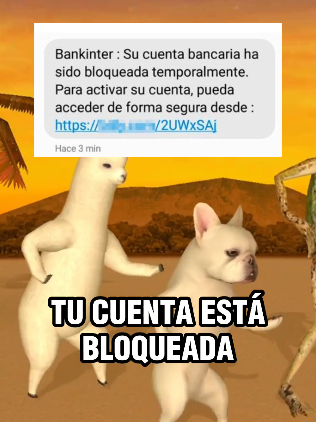 Aprende conmigo estás lecciones, para evitar decepciones 🕺🏻💃🏻... Envíale este video a quien lo necesite. #ia #tecnologia #educacion #cancion 