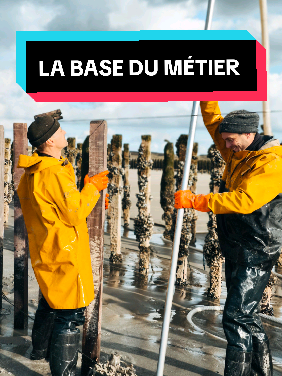 Les pieux à #moules  ils sont mis comment ?! Aujourd'hui, je vous montre comment planter des pieux : de la technique, de l'organisation et du muscle ! Eh oui, avant de récolter des moules, il faut d'abord installer les pieux. C'est la base du métier ! C'est d'ailleurs pour cela qu'on parle de moules de bouchot, car un bouchot, c'est simplement un pieu. N'oubliez pas de liker et de vous abonner. Merci beaucoup !  #moulesdebouchot #pieux #plage #recolte #mytiliculture #mer #johndeere  #moulesfrites #moulesmarinieres #CapCut 