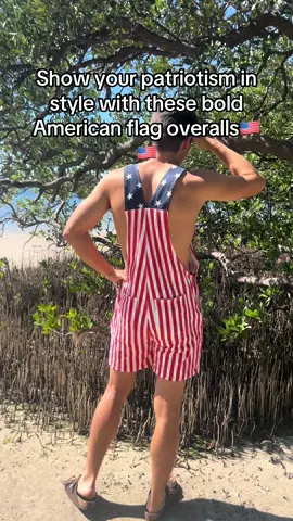 American flag 