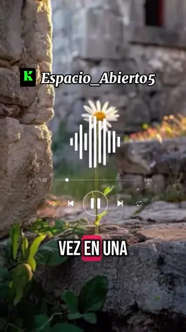 Protección y amor, sencillo. #fnypシ #viralvideos #kick #fyp #following #streamer #crecimiento #historias #viral_video #tiktoker #mujeresfuertes #anecdotas #SantJordi2024 