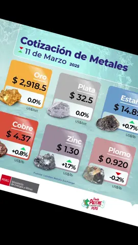 #mineriaartesanal #mineriaperu #minarinconada #minasecocha #viral #foruyou #preciometales 