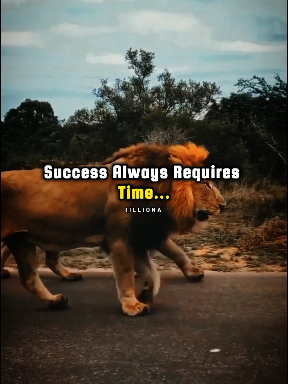 Motivational quotes...🔥💯🦁 . . . . #foryou #fyp #foryoupage #quotes #focus #goal #dtudymotivation #viral #trending #sigma #sigmarule #sigmamotivation #motivation #motivationalquotes #attitudestatus #lionattitudestatus #journey #mindset #success #successquotes #tiktok 