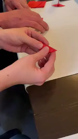 kako narediti našo ptičko ki te bo spremljala pri vsakem našem obroku..😃 #fyp #slovenia #restaurant #maribor #goviral #sushi 