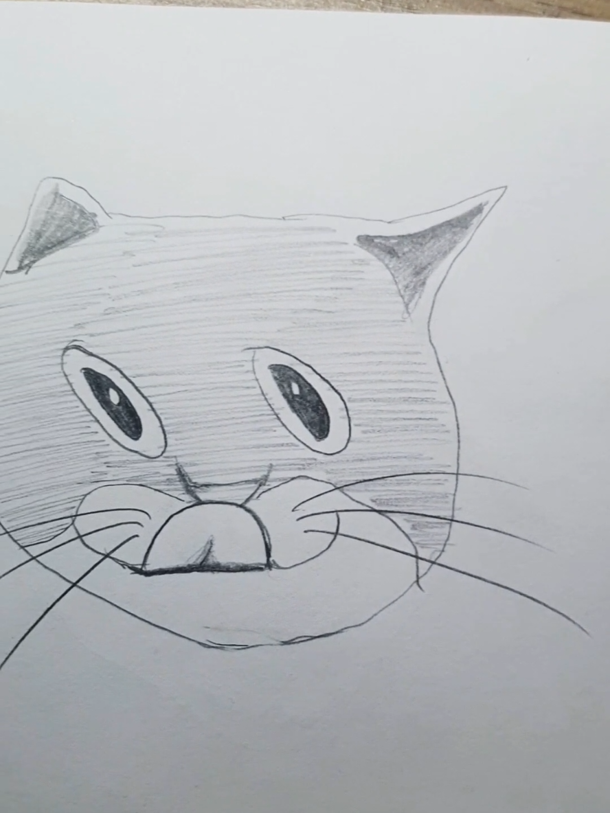 Réponse à @dmangamer962 funny cat compilation 😂😂 #catlover #TimeWarpScan #fyp #funnycat 