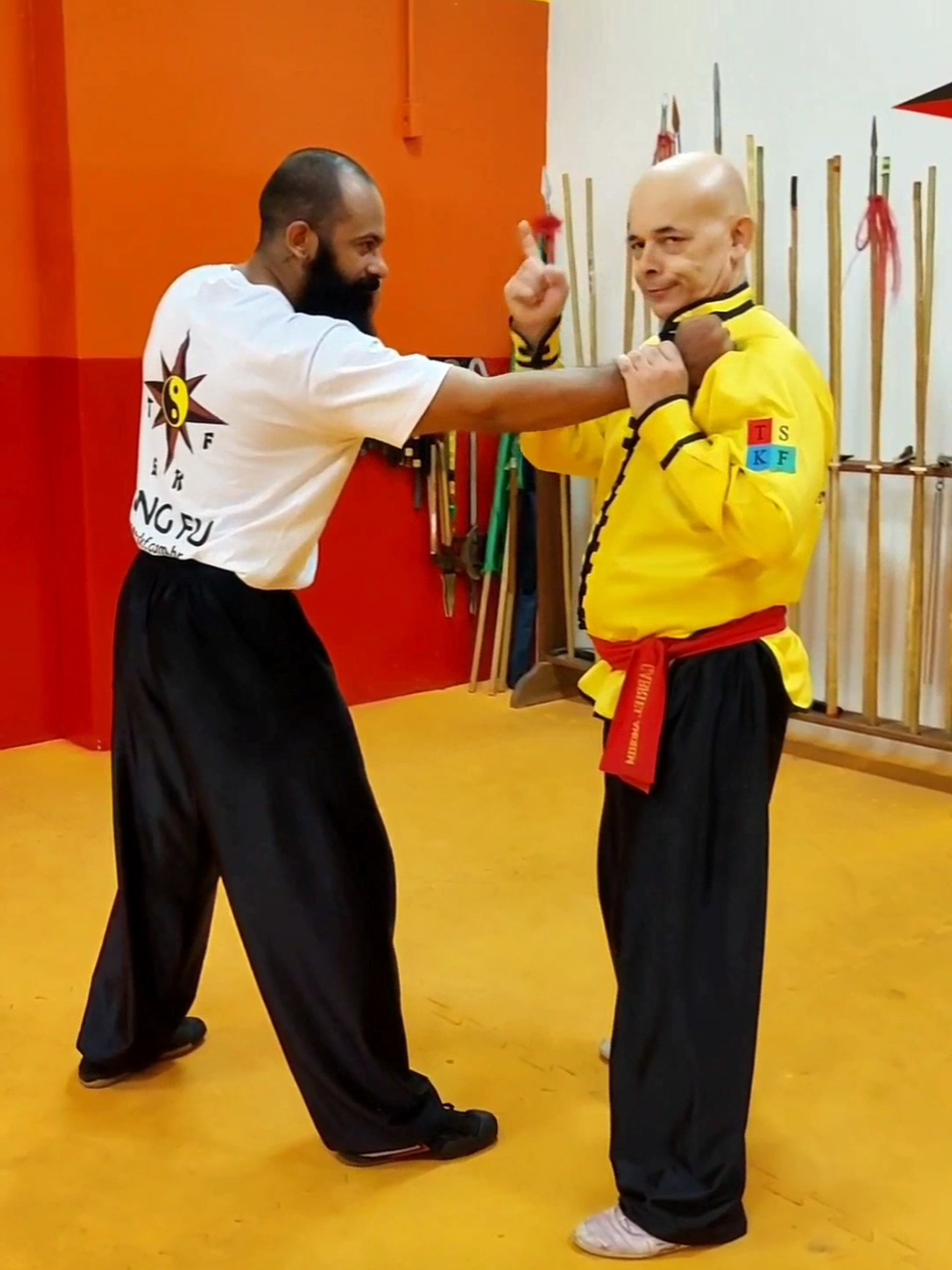 #tskf #kungfu #wushu #artemarcial #artesmarciais #defesapessoal #shaolin #chikung
