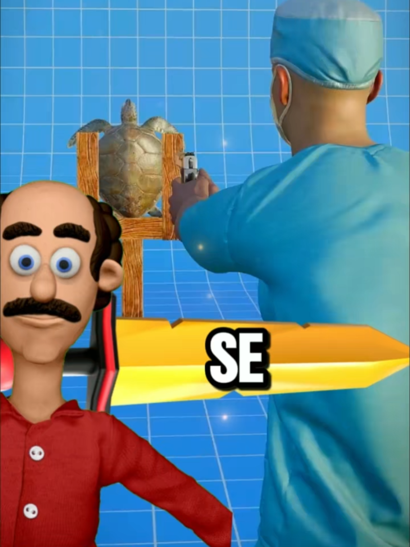 O casco de uma tartaruga é à prova de balas? #humor #curiosidade #tartaruga