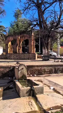Tlemcen ❤️جامع سيدي بومدين 😊🤲.             #tik_tok #شعب_الصيني_ماله_حل😂😂 #foru #algerie🇩🇿 #tunisia🇹🇳 #marocaine🇲🇦 