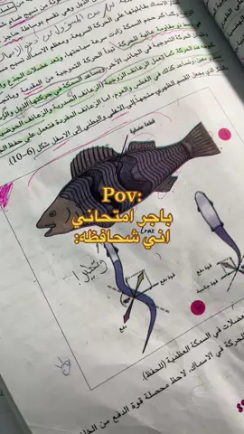 الفصل السادس خبلني  #fyp#fyp#fyp#fyp#fyp#fyp#fyp#fyp#fyp#fyp#fyp#fyp#fyp#fffffffffffyyyyyyyyyyypppppppppppp#fyppppppppppppppppppppppp#fy#العراق#رابع_علمي#احياء#امتحان#طلاب#اكسبلور#explore#iraq#fyp#fyp#fypp#fy#fyppppppppppppppppppppppp#foryou#foryoupage 