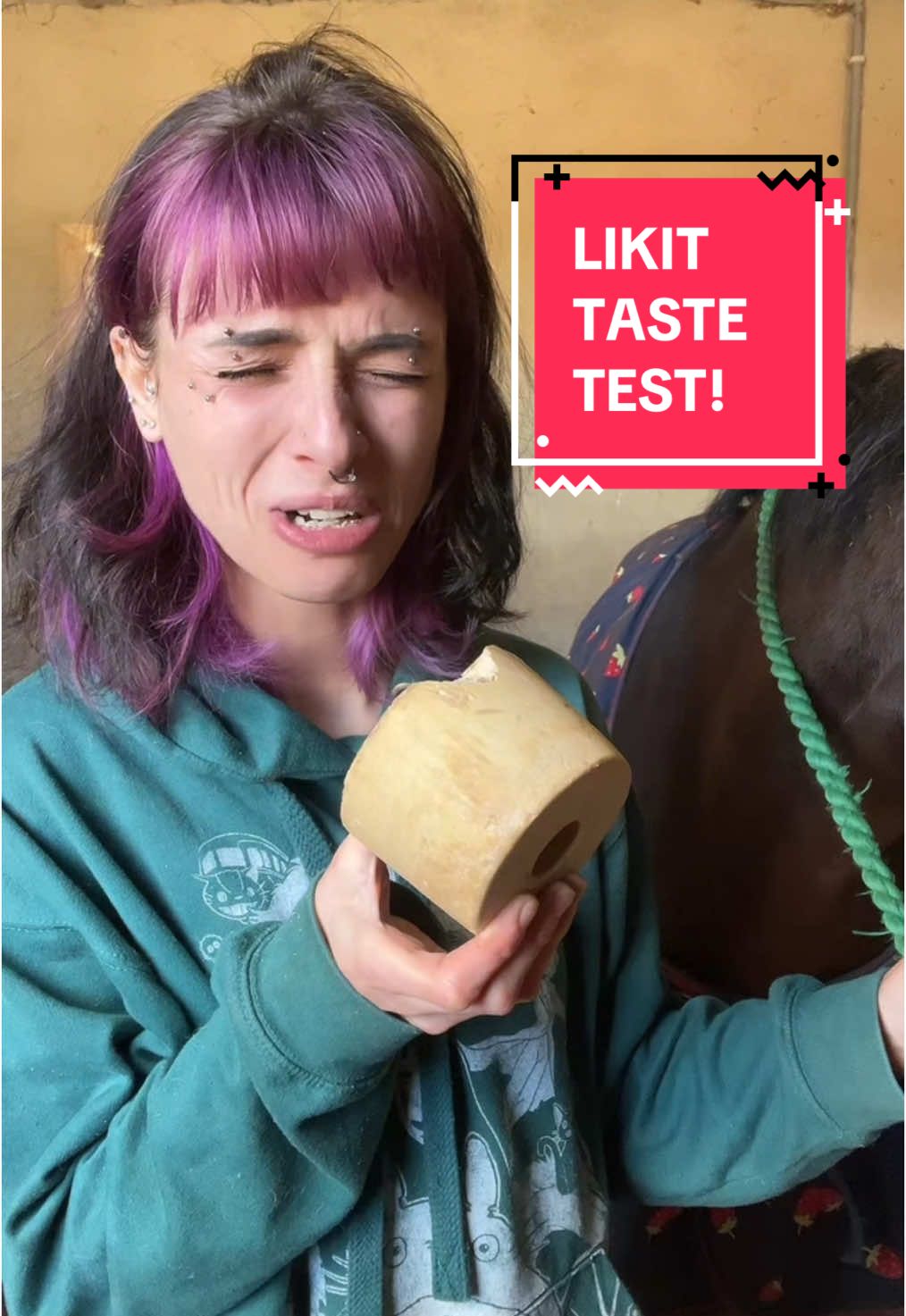 I never want to see a garlic likit ever again in my life. IB: @elliebellis.showjumping 🫶🏼 #equine #equestrian #horsetok #horsesoftiktok #equestrianvibes #horsebackriding #horsegirl #equestrian #fyp #foryou #abcxyz @Likit Products  